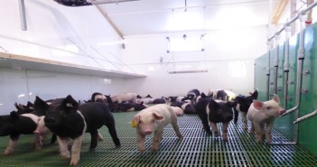 £25m available for high tech investment on farms Hot weather ventilation