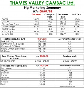 THAMES VALLEY CAMBAC Ltd