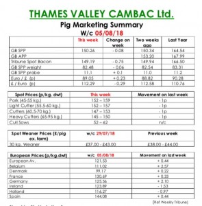 Thames Valley Cmabac