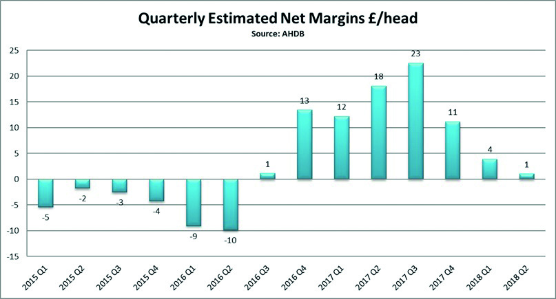 net-margin