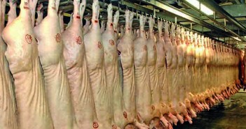 Maybe the time has come for processors and producers to work together Abattoir - carcases