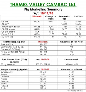 TVC 19.11.18