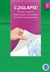 coglapix-brochure
