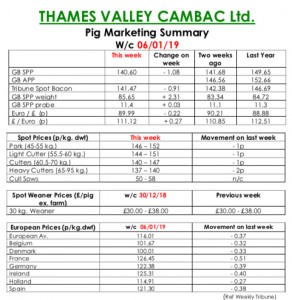 TVC - January 6 copy