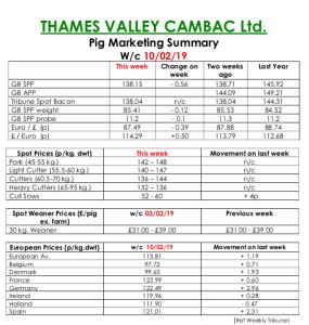 TVC - 10.02.19