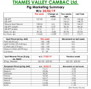 TVC - 17.02.19