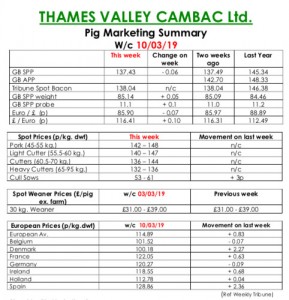 TVC - 11.03.19