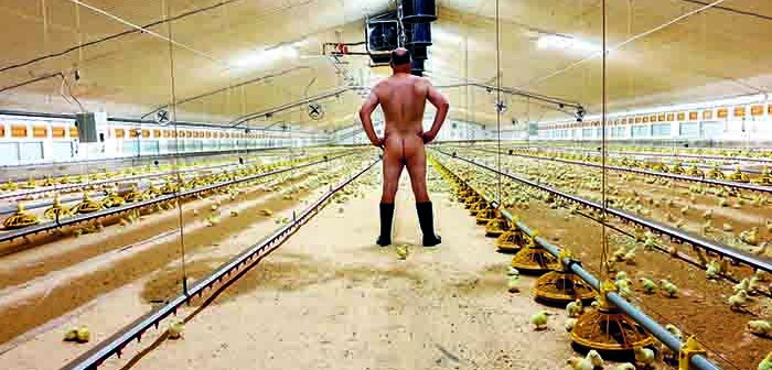 naked farmer pic