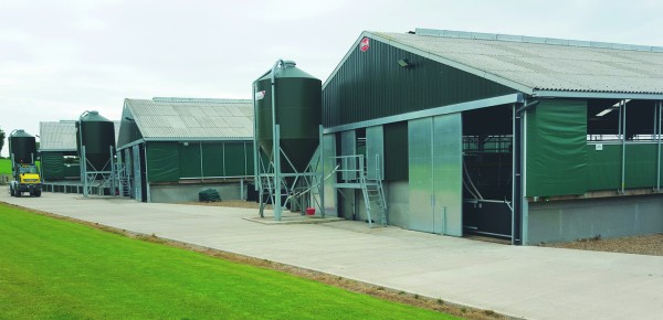 It could become harder to obtain planning permission for new pig buildings under potential changes to environmental rules