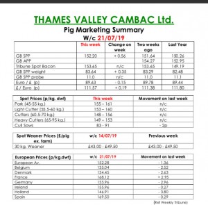 TVC - 22.07.19