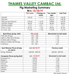 TVC - 14.10.19