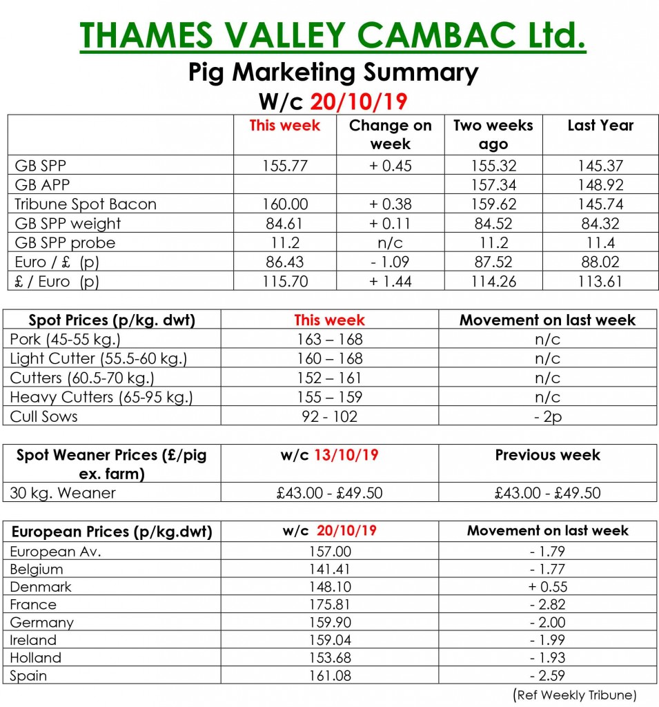 TVC - 21.10.19