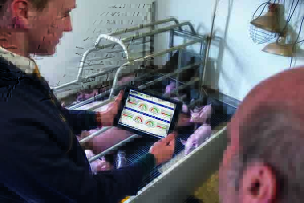 The feed company's Agroscoop tool helps producers track the performance of their pigs
