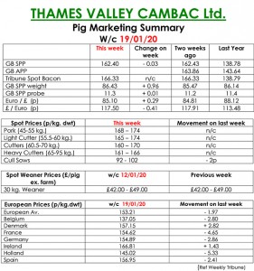 TVC – 20.01.20 copy