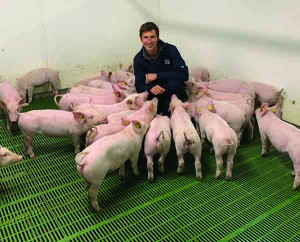 Charlie Thompson of Bridge House Farm, Northampton, is an industry pioneer with his use of EID in pigs