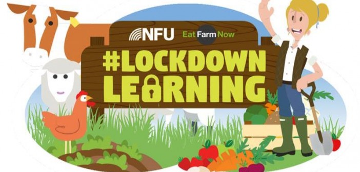 lockdown learning