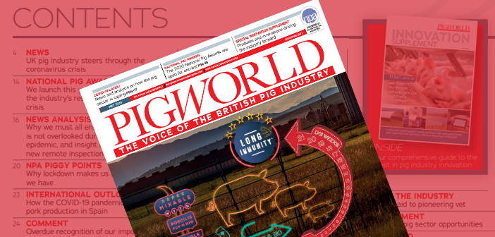Pig World – May 2020