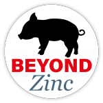 Beyond Zinc Logo