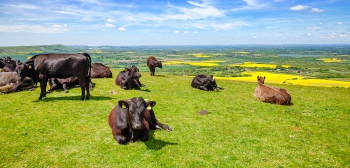 Hundreds of farmers sign up for Sustainable Farming Incentive scheme