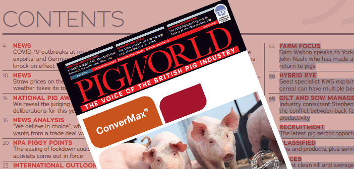 Pig World – July 2020
