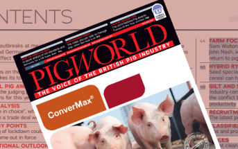 pig-world-july-feat