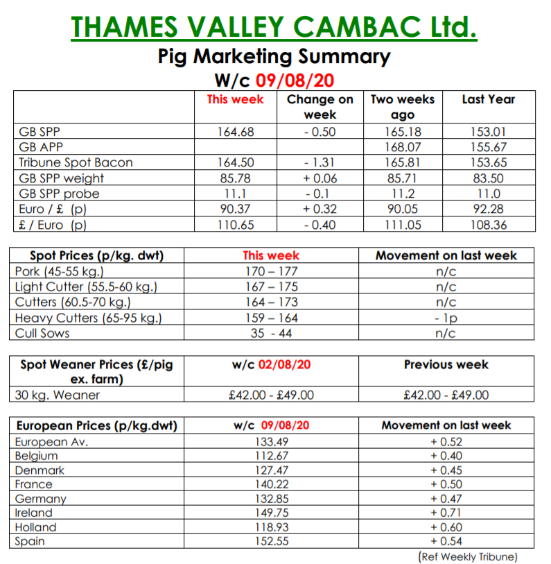 Pig Marketing Summary highlights “poor” factory reliability Pig World