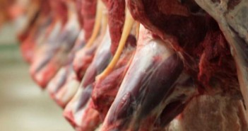 EU pig meat production declines in 2022 Q1 herolarge-meat-carcass