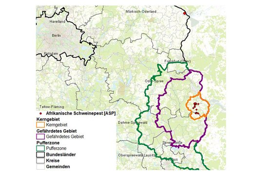 FLI ASF map Sep 29