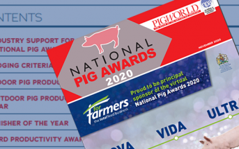 National Pig Awards 2020 Supplement