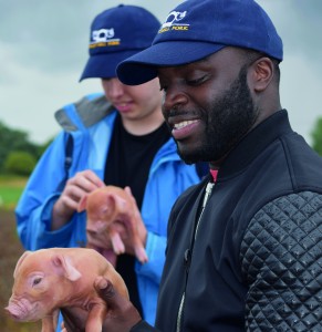 Chefs visit the Haywards' farm