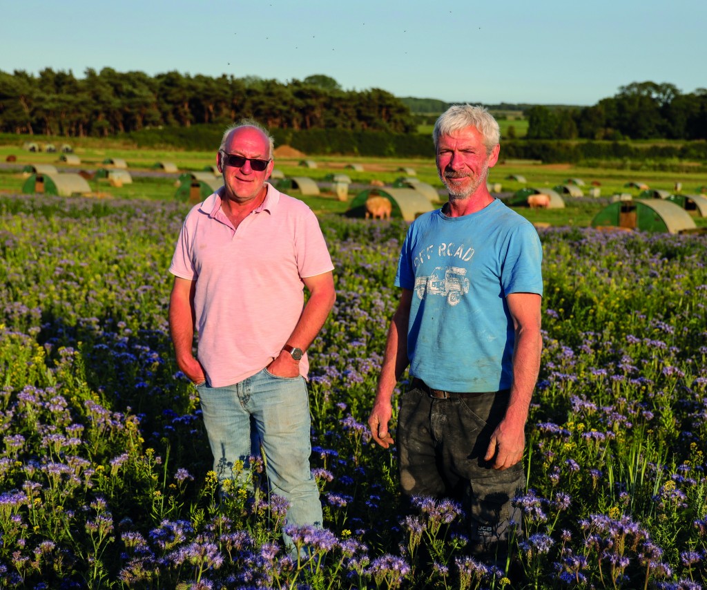 Mark and Paul Hayward