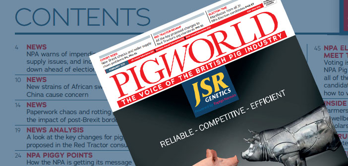 Pig World – February 2021