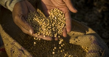 Mole Valley Farmers commits to responsible sourcing of soy and palm soya