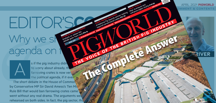 Pig World – April 2021