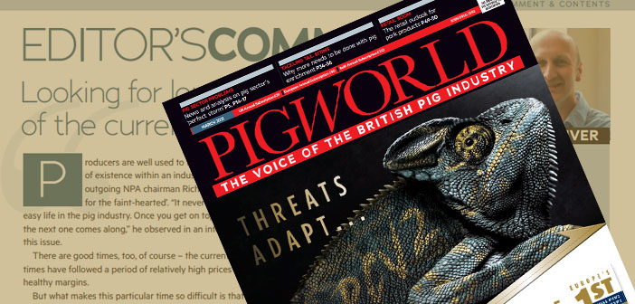 Pig World – March 2021