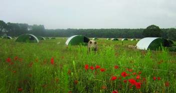 Still time to sign up for sustainable farming pilot scheme outdoor pigs