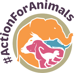 Action for Animals