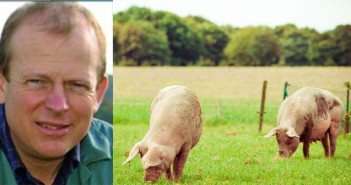 A holistic approach needed to the hot topics with our sector Curious,Pigs,In,Pig,Breeding,Farm,In,Swine,Business,In
