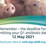 Reminder – eMB-Pigs deadline looming EMB Pigs