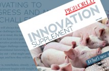 innovation-supplement