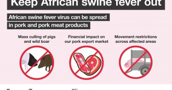 African swine fever disease contingency plans tested in UK-wide exercise African swine fever poster