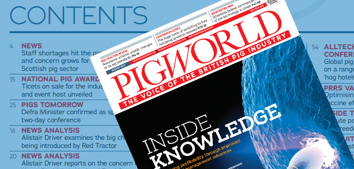 Pig World – August 2021