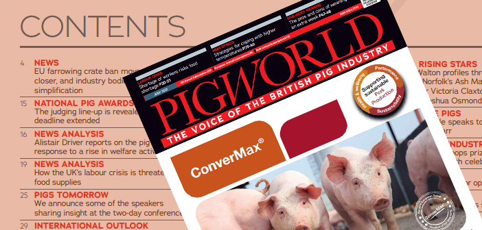 Pig World – July 2021