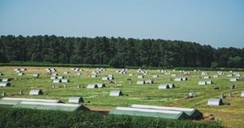 Cranswick achieves carbon neutral status across 14 manufacturing sites Cranswick1