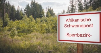 African swine fever detected near French border in Germany ASF Germany sign