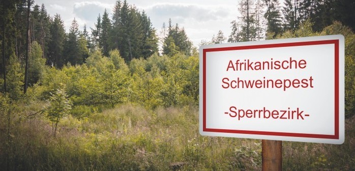 ASF discovered on pig farm in Germany close to Netherlands border