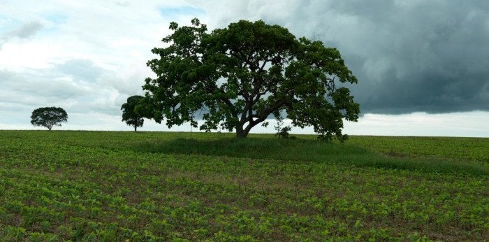 Back British Farming Day 2023 – farmers thank the public for their support