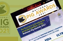 pig-awards-2021-featured