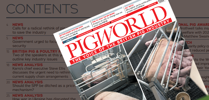 Pig World – April 2022
