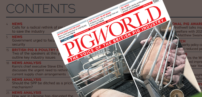 Protected: Pig World – April 2022